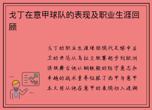 戈丁在意甲球队的表现及职业生涯回顾
