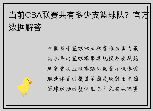 当前CBA联赛共有多少支篮球队？官方数据解答
