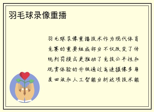 羽毛球录像重播