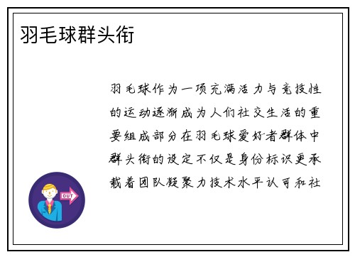 羽毛球群头衔